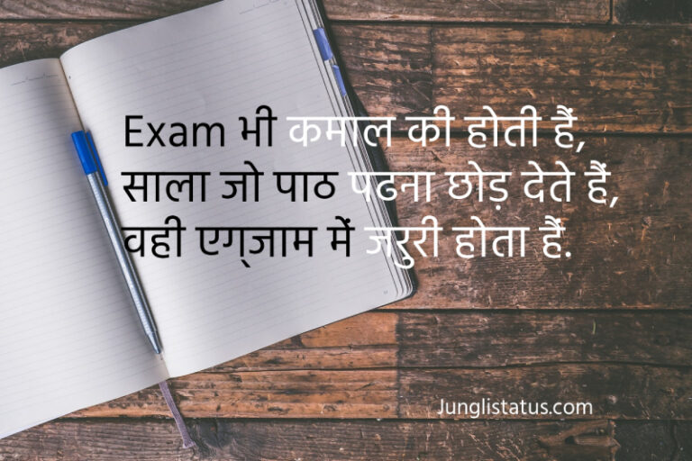 importance of exam in hindi essay